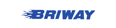 pneu briway